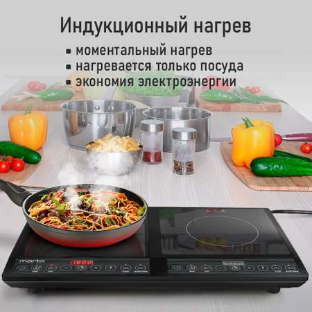 Индукционная безимпульсная электроплитка MARTA черный жемчуг