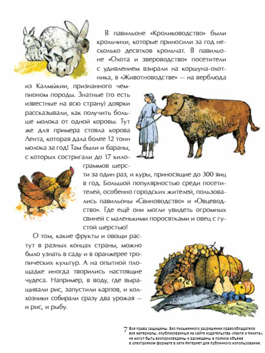 Книга для детей Настя и Никита развитие детей - фото 10