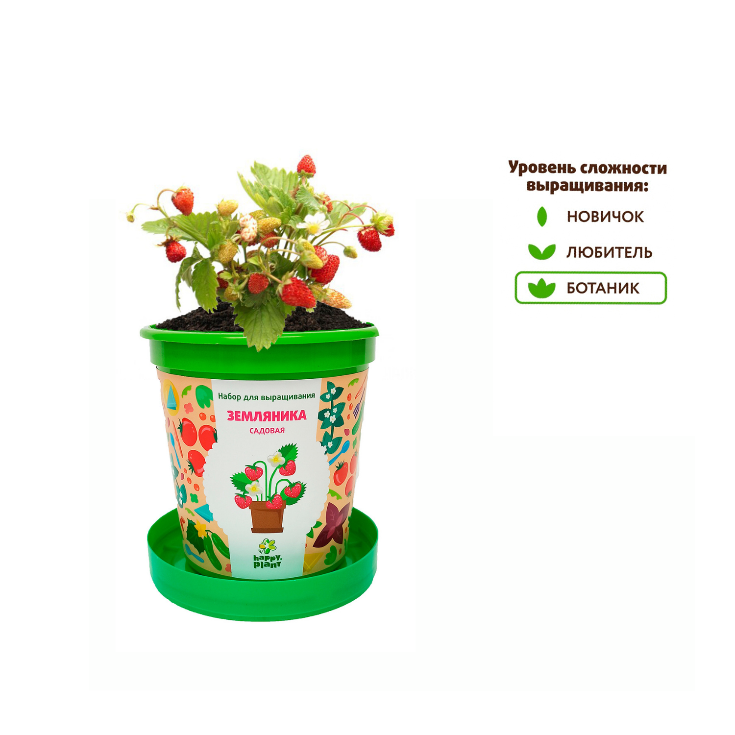 Набор для выращивания Happy Plant - фото 4