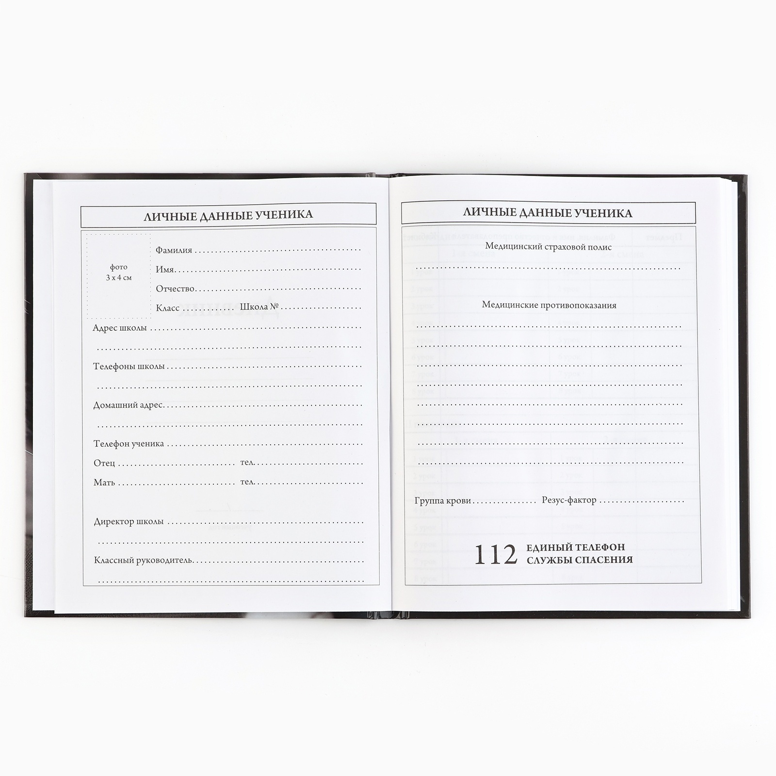 Дневник ArtFox STUDY школьный для 5-11 класса - фото 3