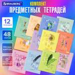 Тетрадь Brauberg 48 лист.
