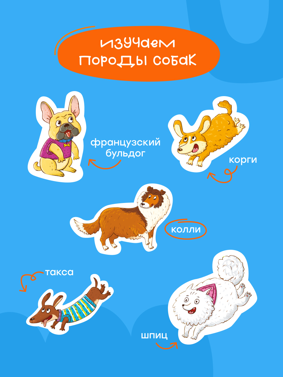Пазл Харди Гарди классический - фото 8