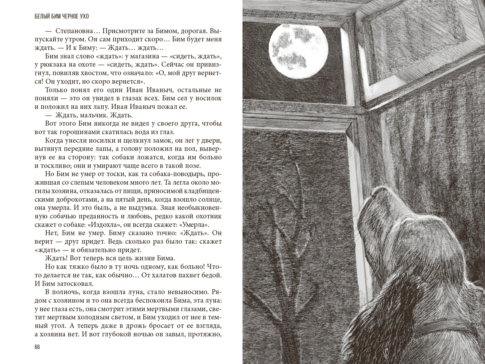Книга Стрекозa Белый Бим Черное Ухо - фото 3