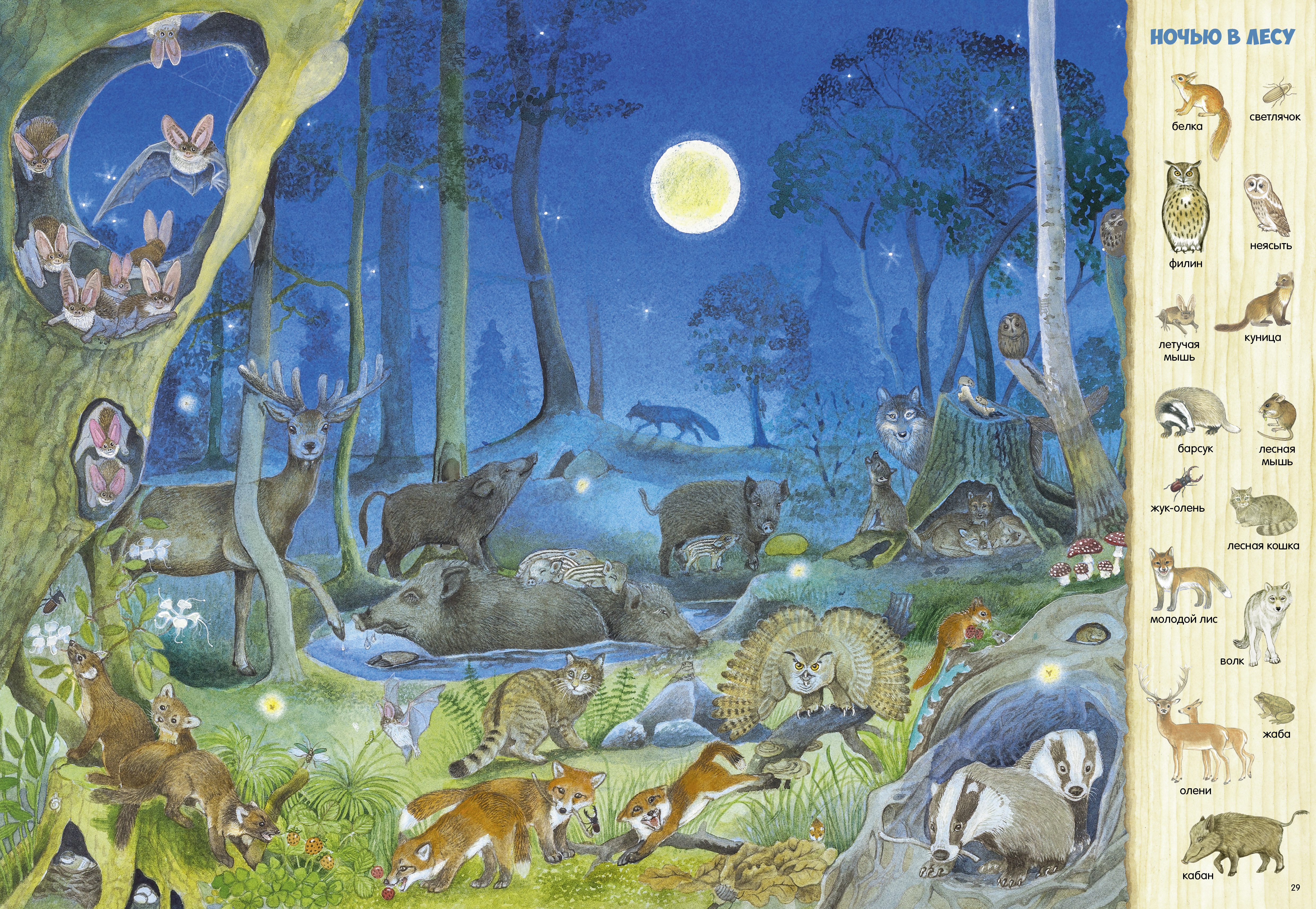 Книга Clever Найди и покажи - фото 5