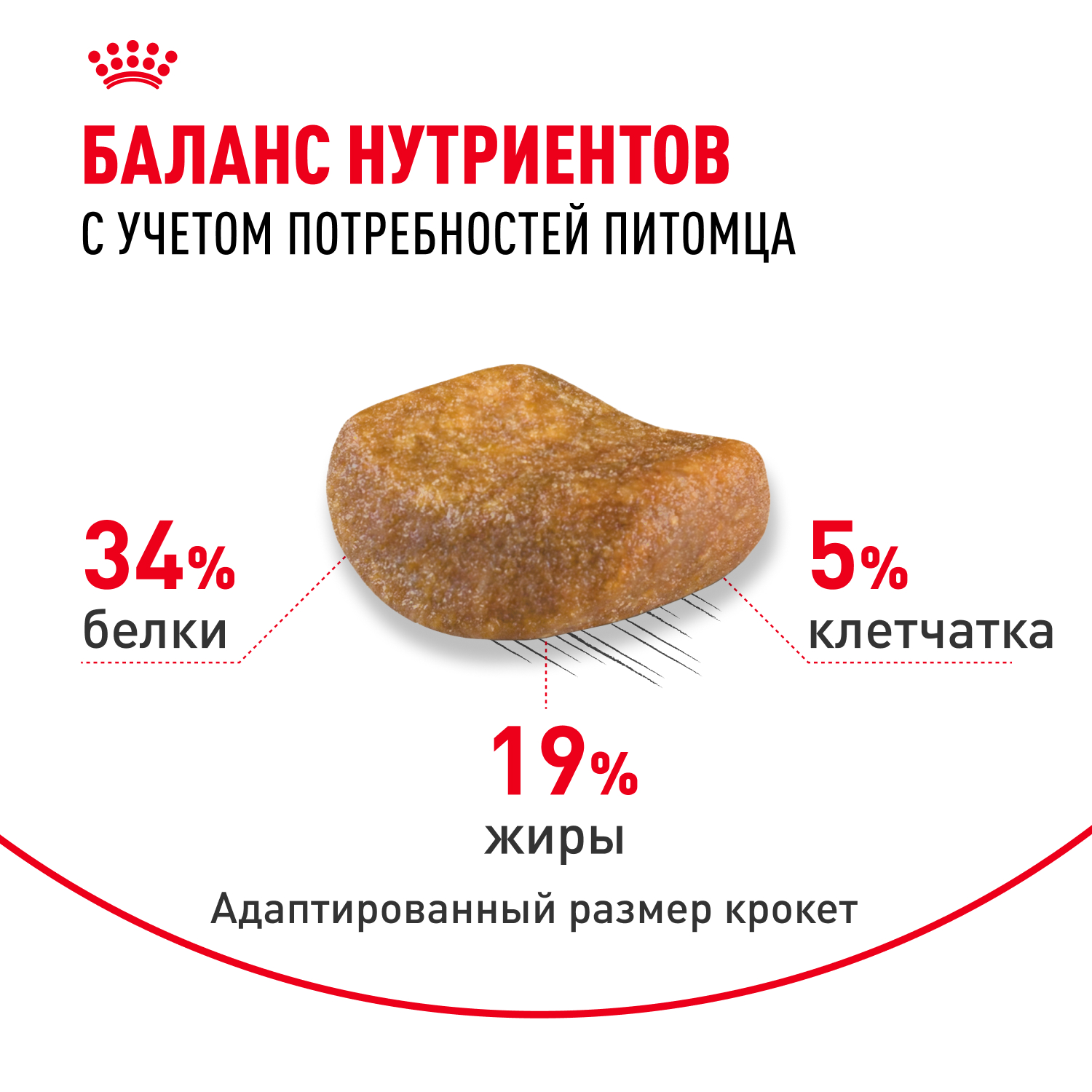 Корм сухой для кошек ROYAL CANIN British Shorthair 400г британской короткошерстной породы - фото 4