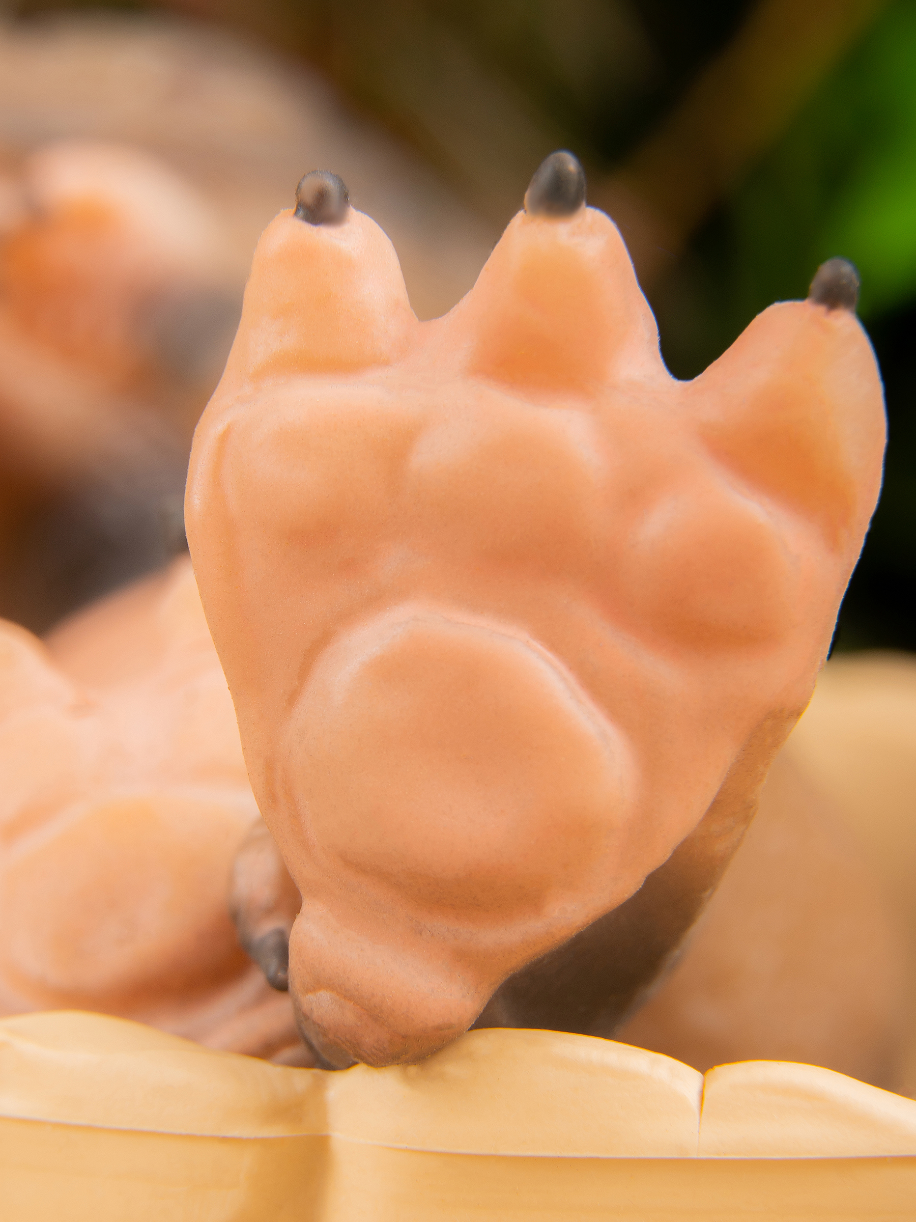 Кукла мини Magic Manufactory Magic Dino Тираннозавр высота 22 см 4631163177467 - фото 24