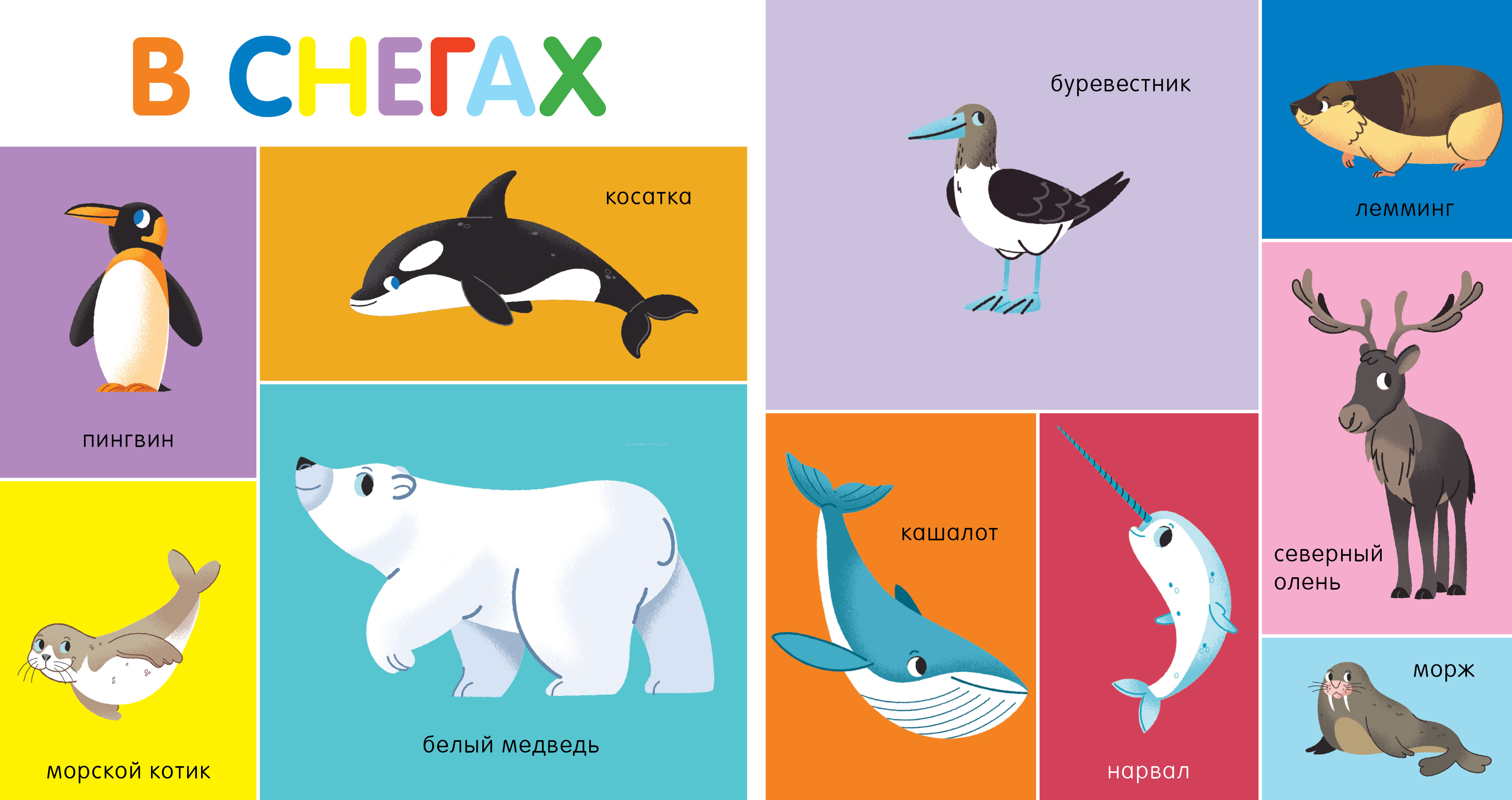 Книга Clever Мои первые слова. 100 животных - фото 3