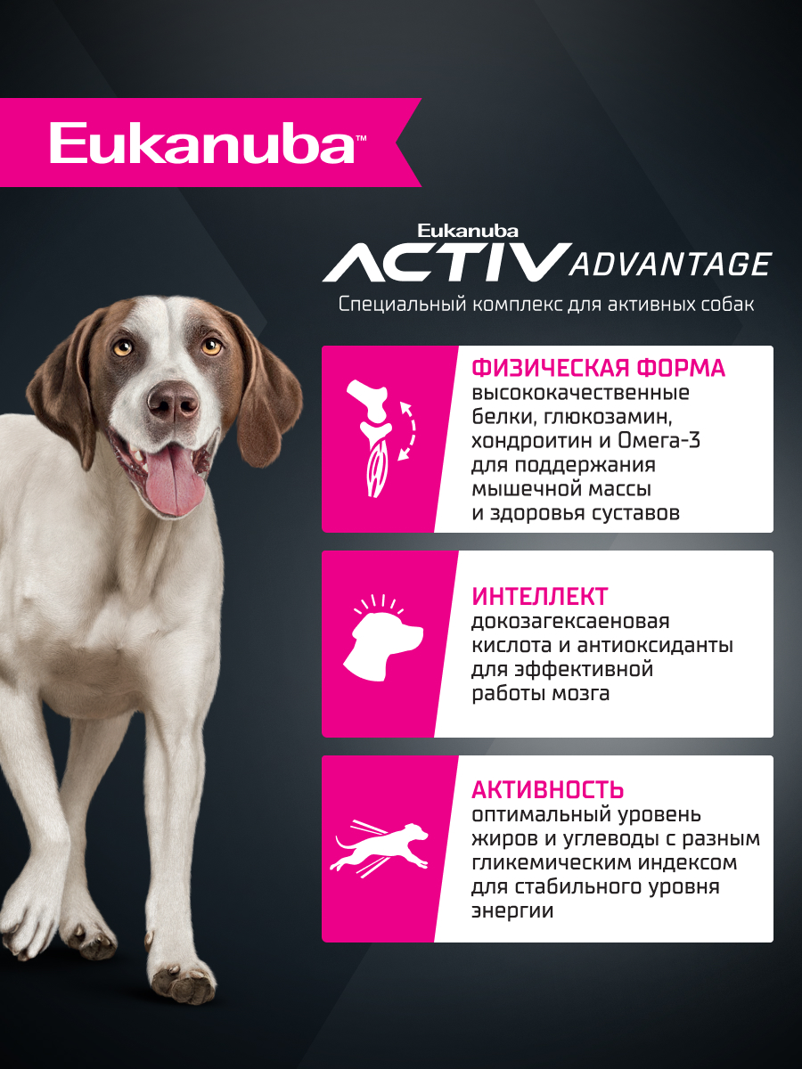 Корм для собак Eukanuba с ягненком сухой 3кг - фото 2