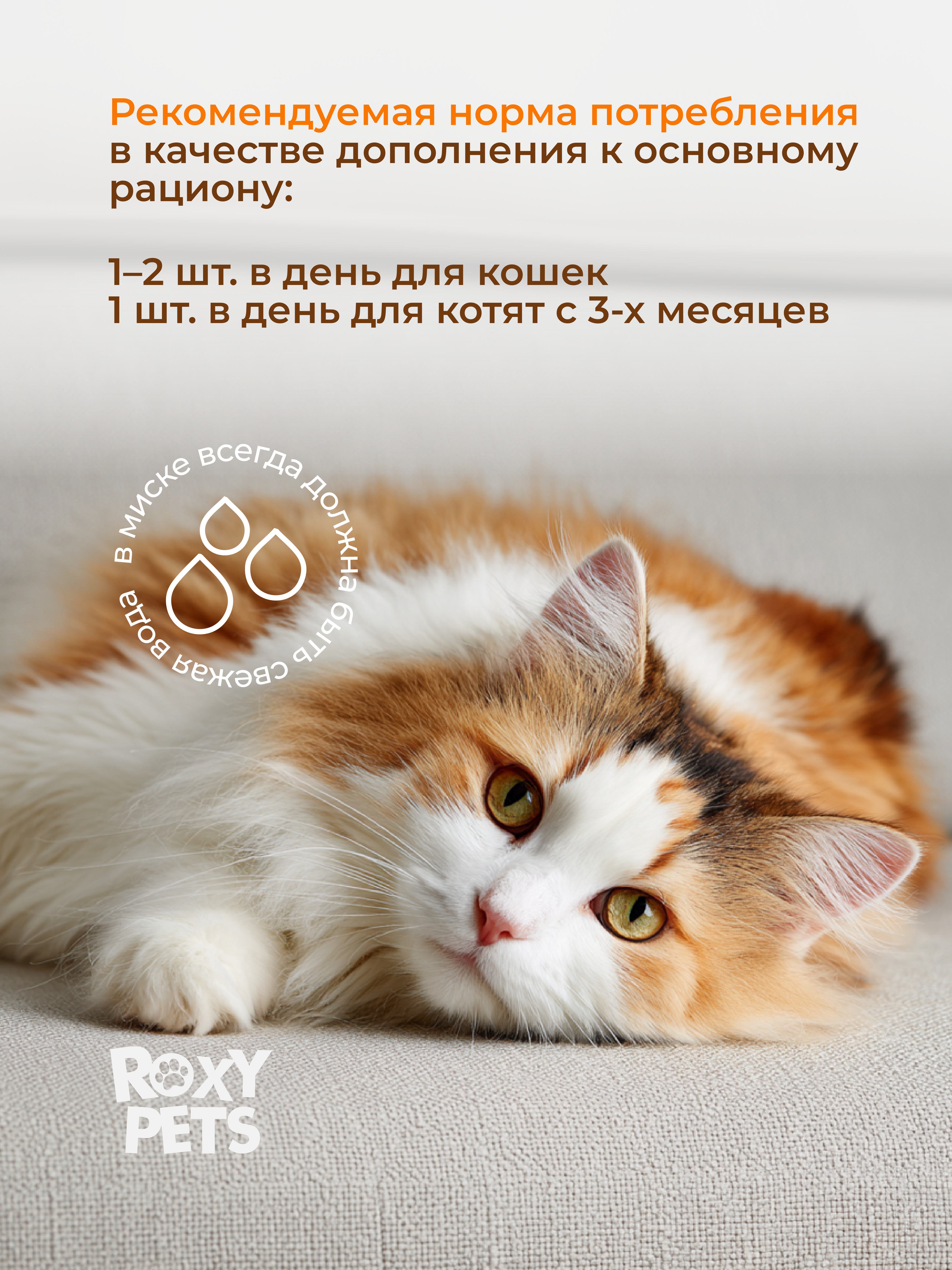 Крем-суп для кошек и котят всех пород ROXY PETS филе карельского лосося и лососевого масла 3уп из 10шт - фото 7