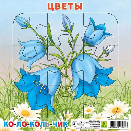 Пазл РУЗ Ко
