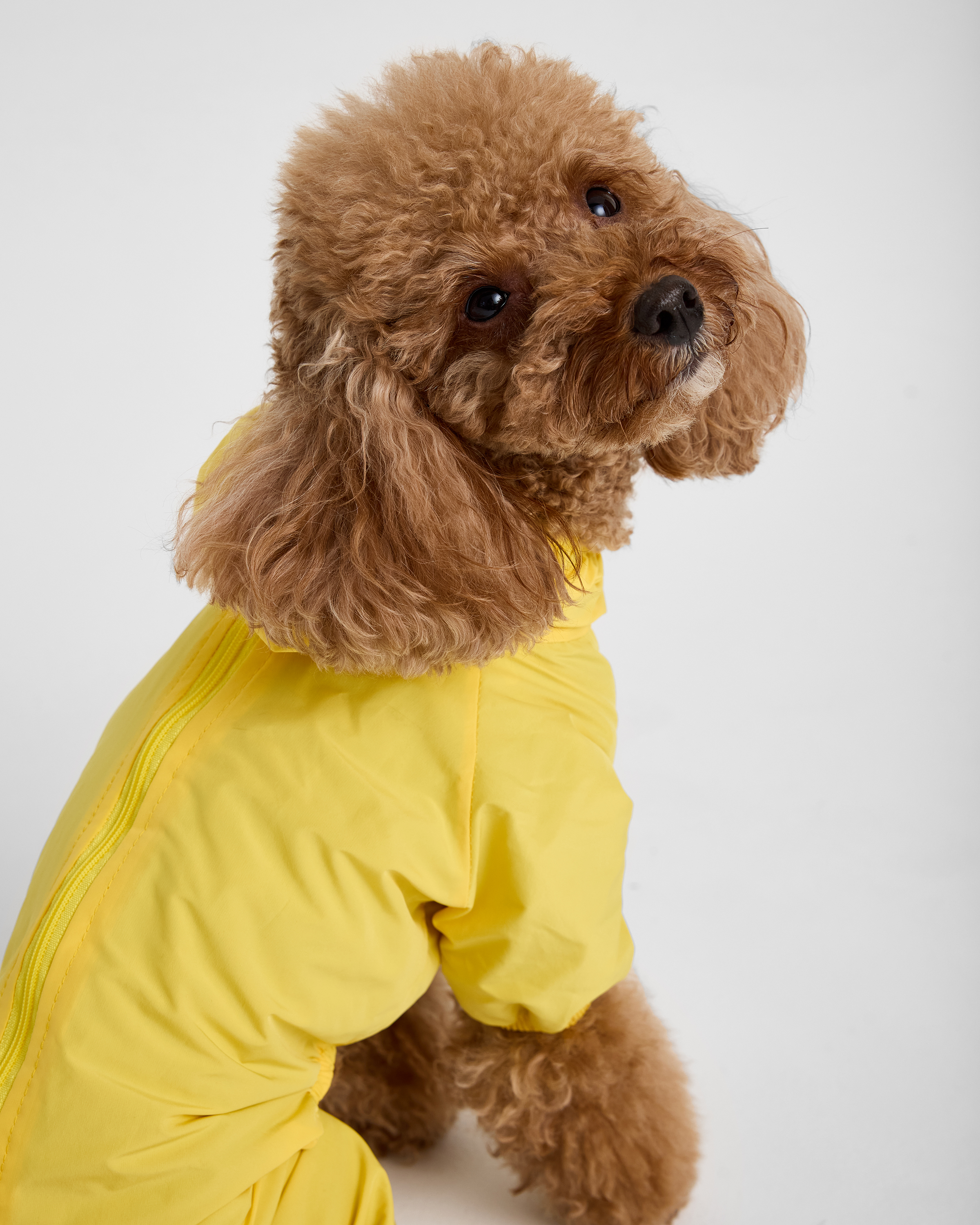 Изображение товара Зоозавр дождевик для животных 2XL желтый
