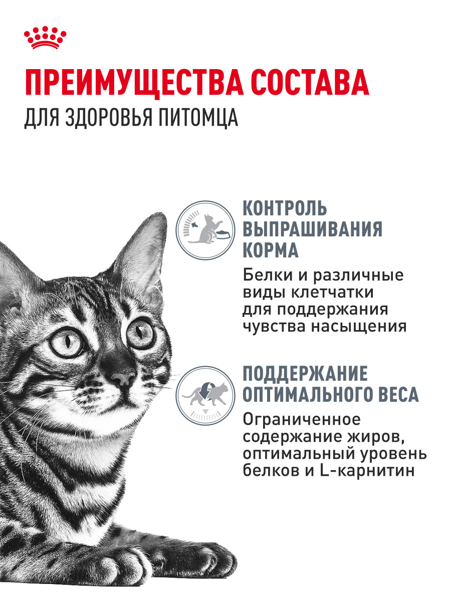 Корм для кошек ROYAL CANIN Care Аппетайт контроль соус пауч 85г - фото 3