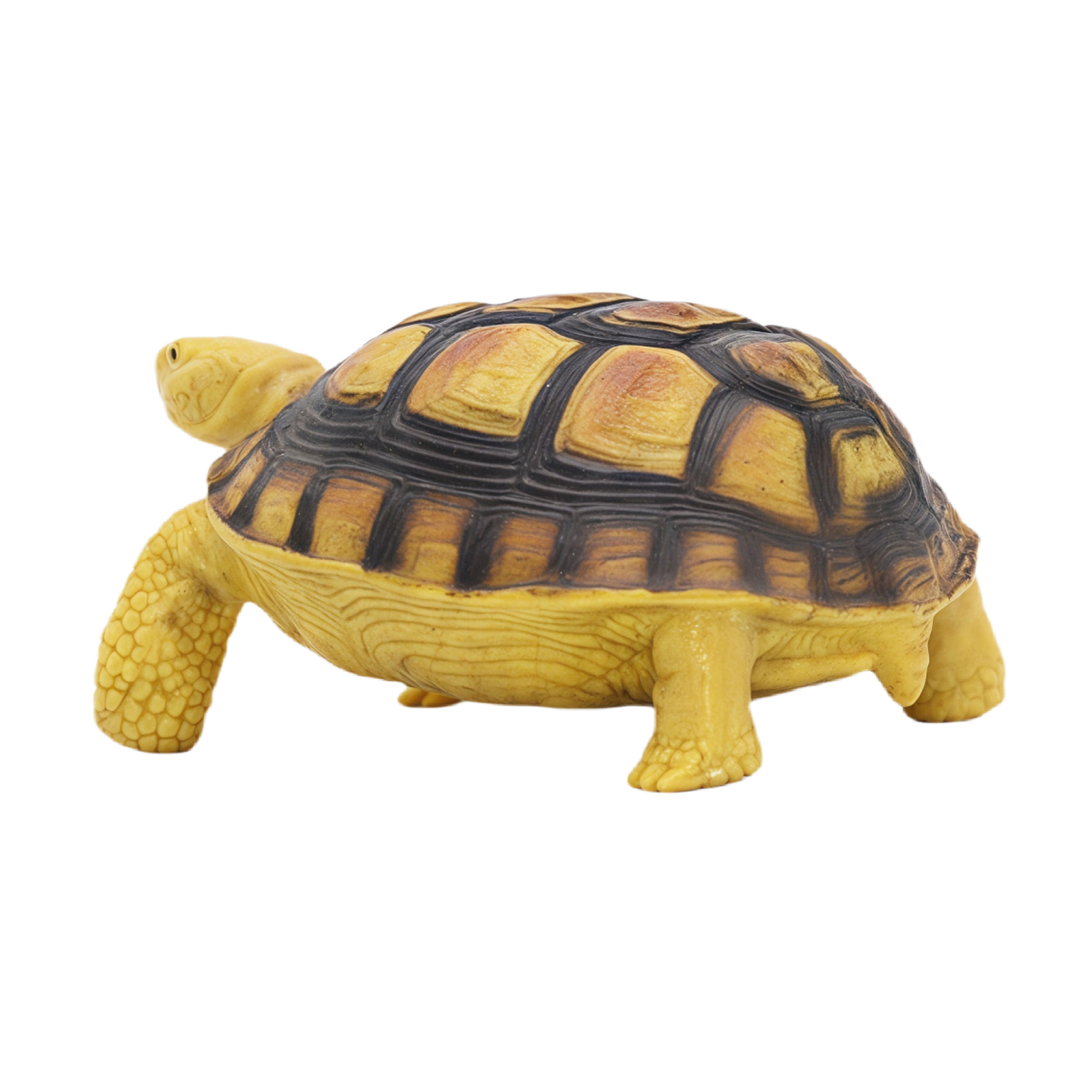 Фигурка Детское Время Среднеазиатская черепаха - фото 5