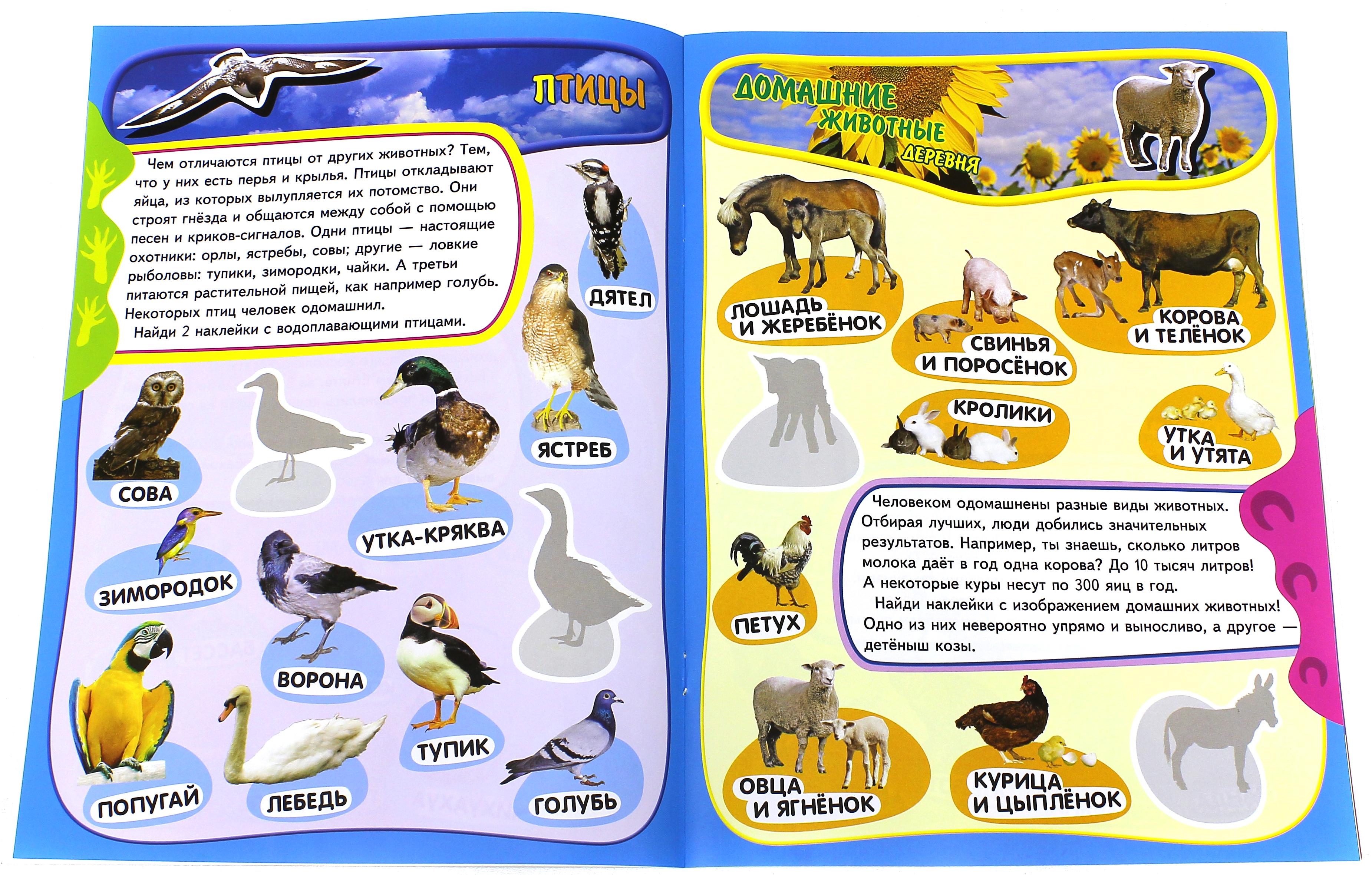 Книга Лабиринт Учись играя 5-7 лет Животные - фото 3