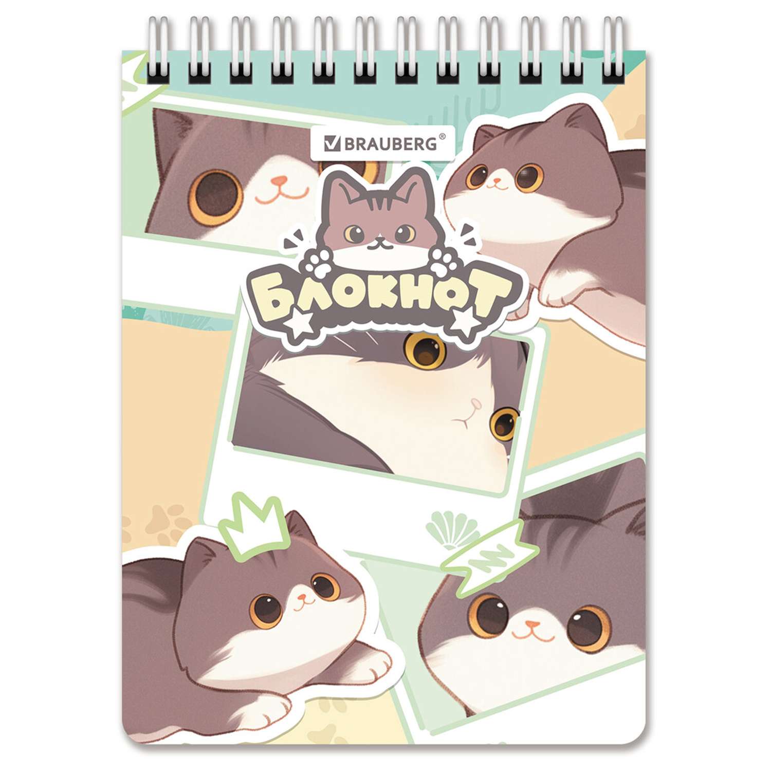 Блокнот Brauberg Милые коты А6 60 лист. в ассортименте - фото 3