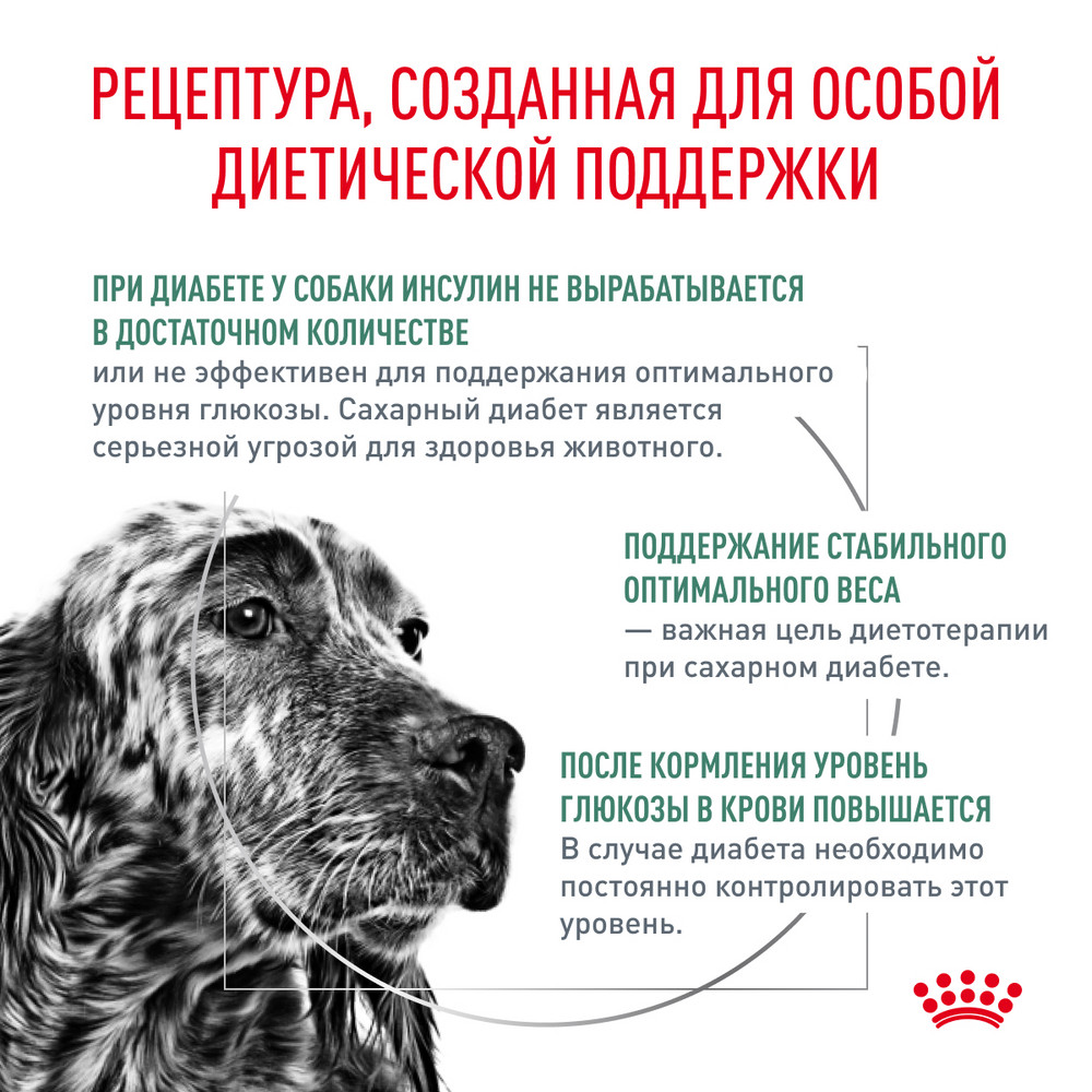 Корм для собак ROYAL CANIN Diabetic при сахарном диабете 1.5кг - фото 3