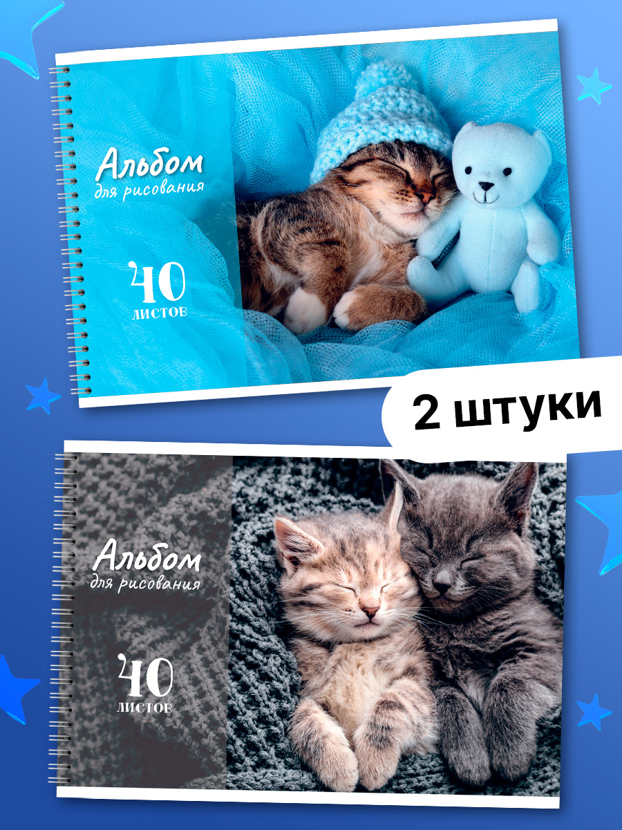 Альбом AXLER А4 40 лист. 2 шт. - фото 1