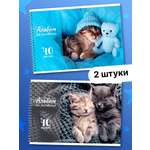 Альбом AXLER А4 40 лист. 2 шт.