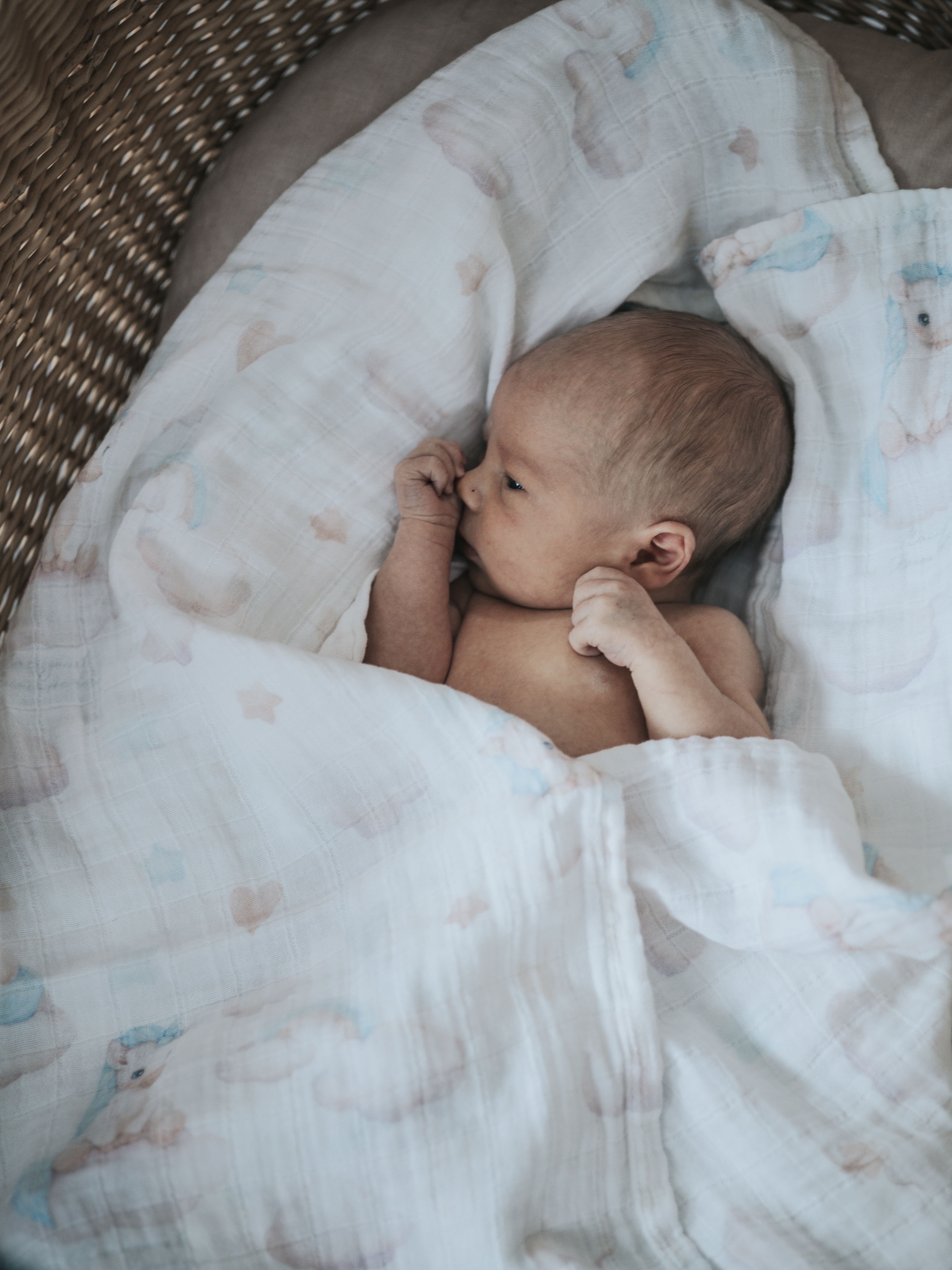 Плед НаследникЪ Выжанова Плед-пеленка 120 x 120 см хлопок - фото 4