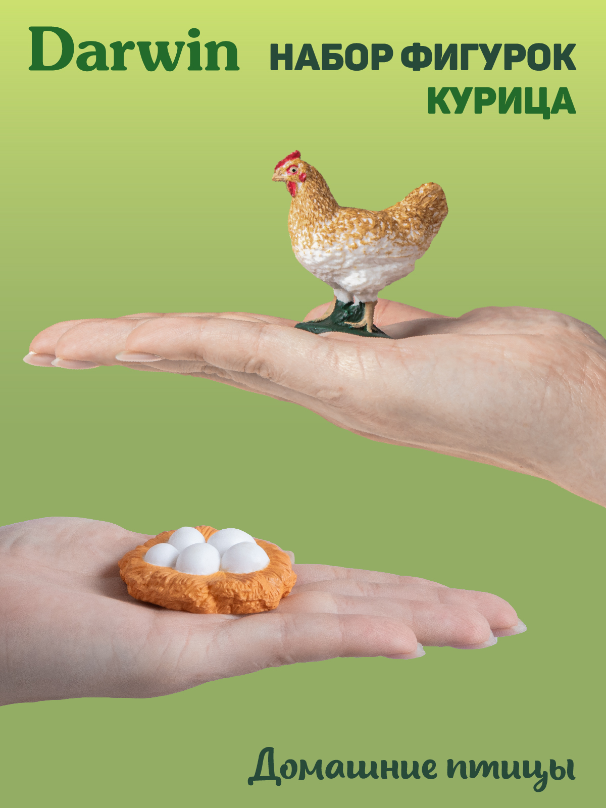 Игровой набор DARWIN Животные Курица - фото 2