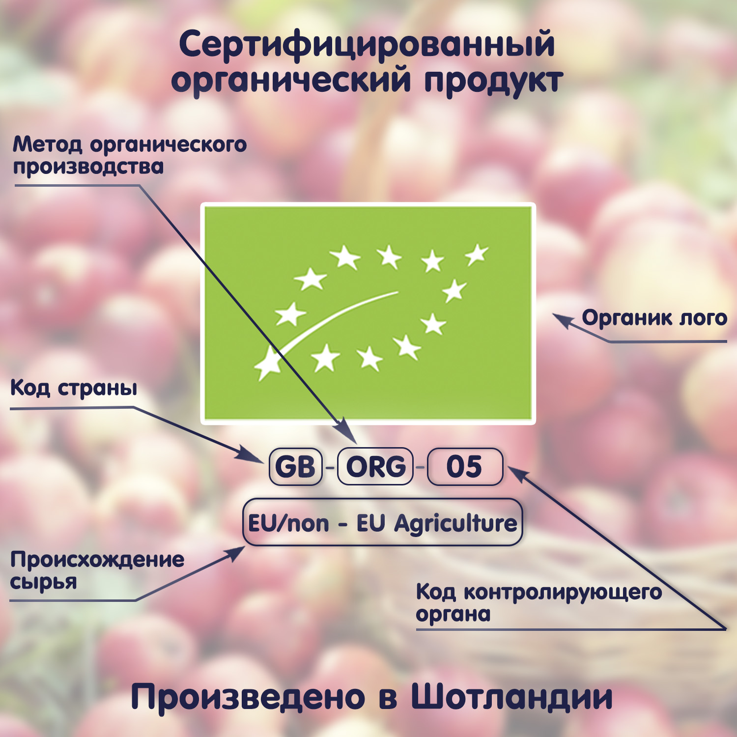 Пюре Fleur Alpine Яблоко-банан-черная смородина-черника с 6 мес 120 г - фото 10