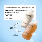 Набор средств RICHE 500 мл