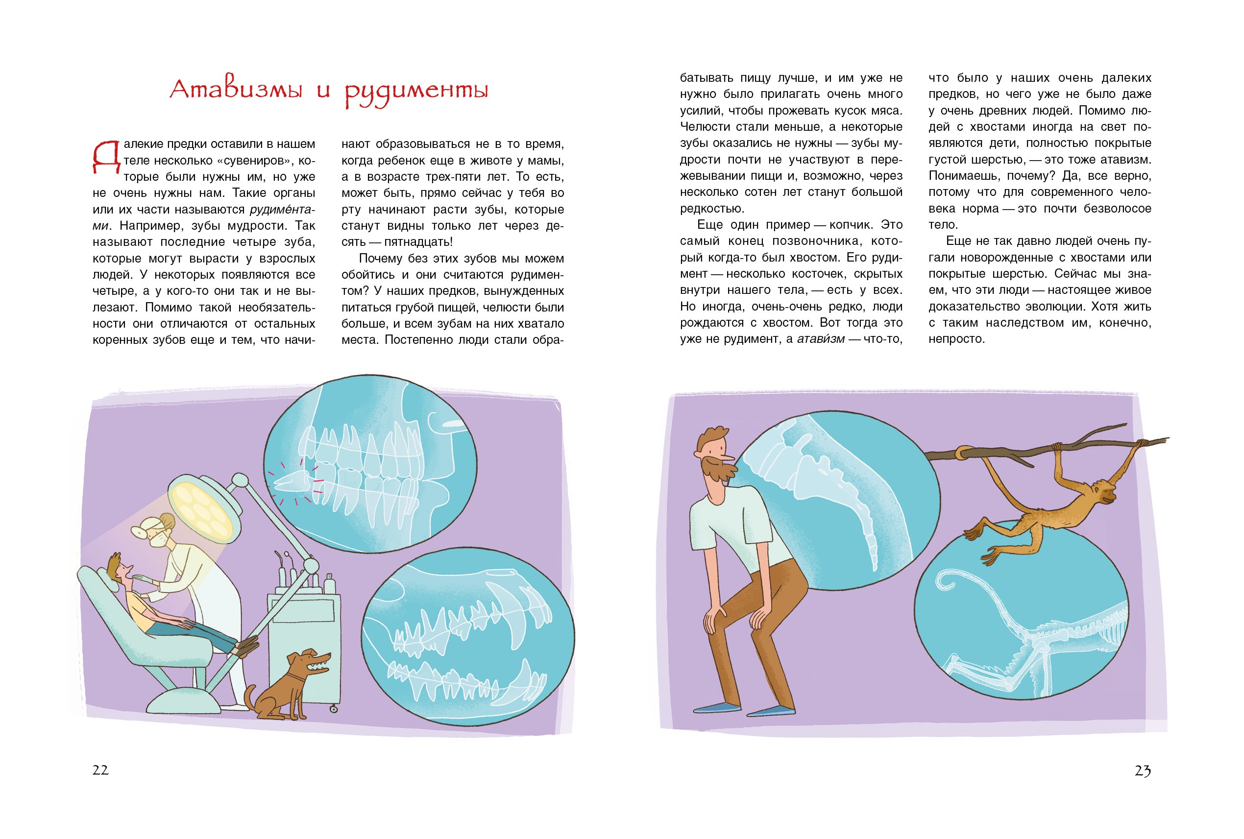 Книга Качели Как менялся человек - фото 9