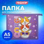 Папка для труда Пифагор А5