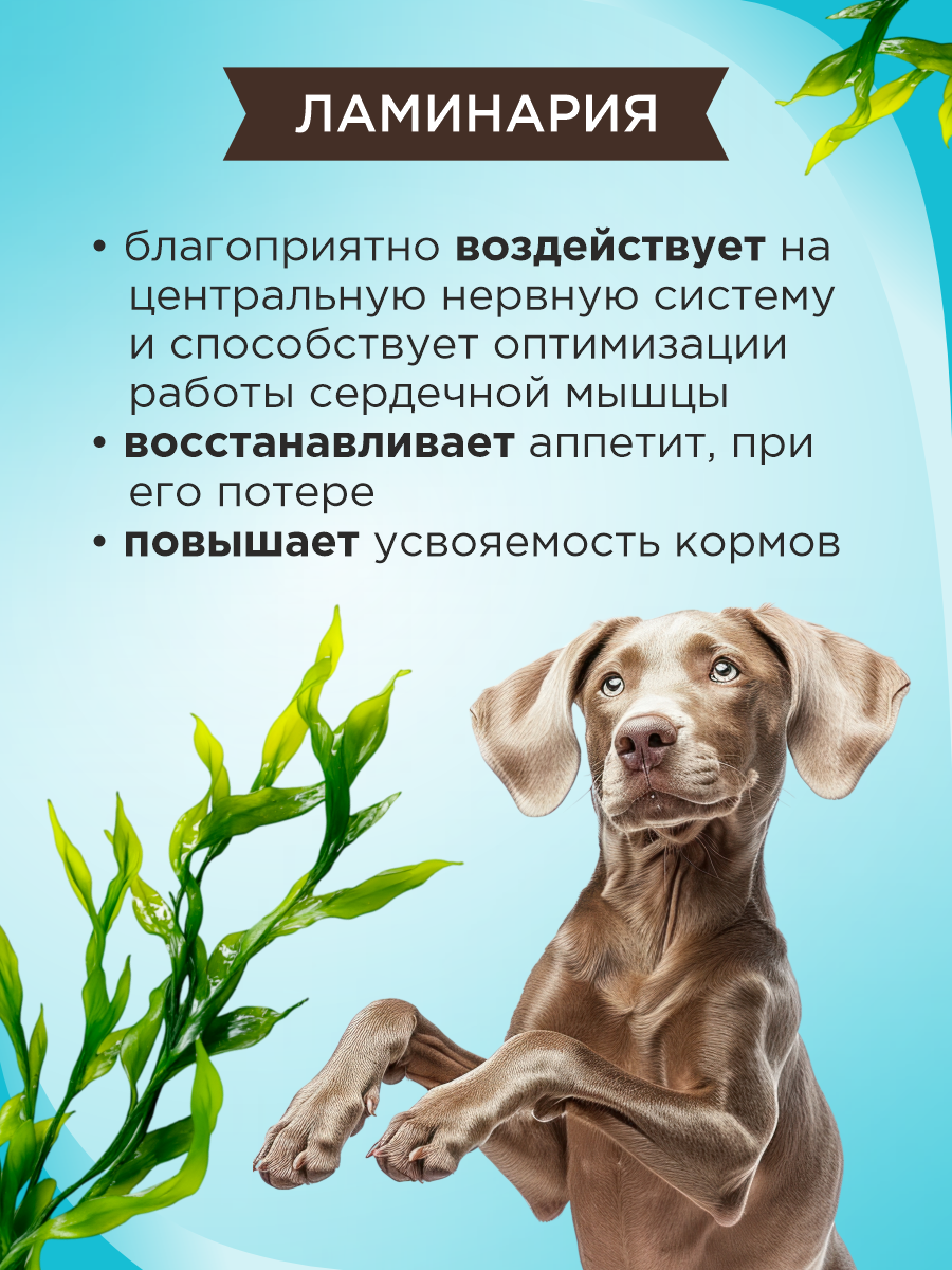 Полезное лакомство для собак GOODR DOG Крепкий иммунитет с ламинарией 90 таб. - фото 4