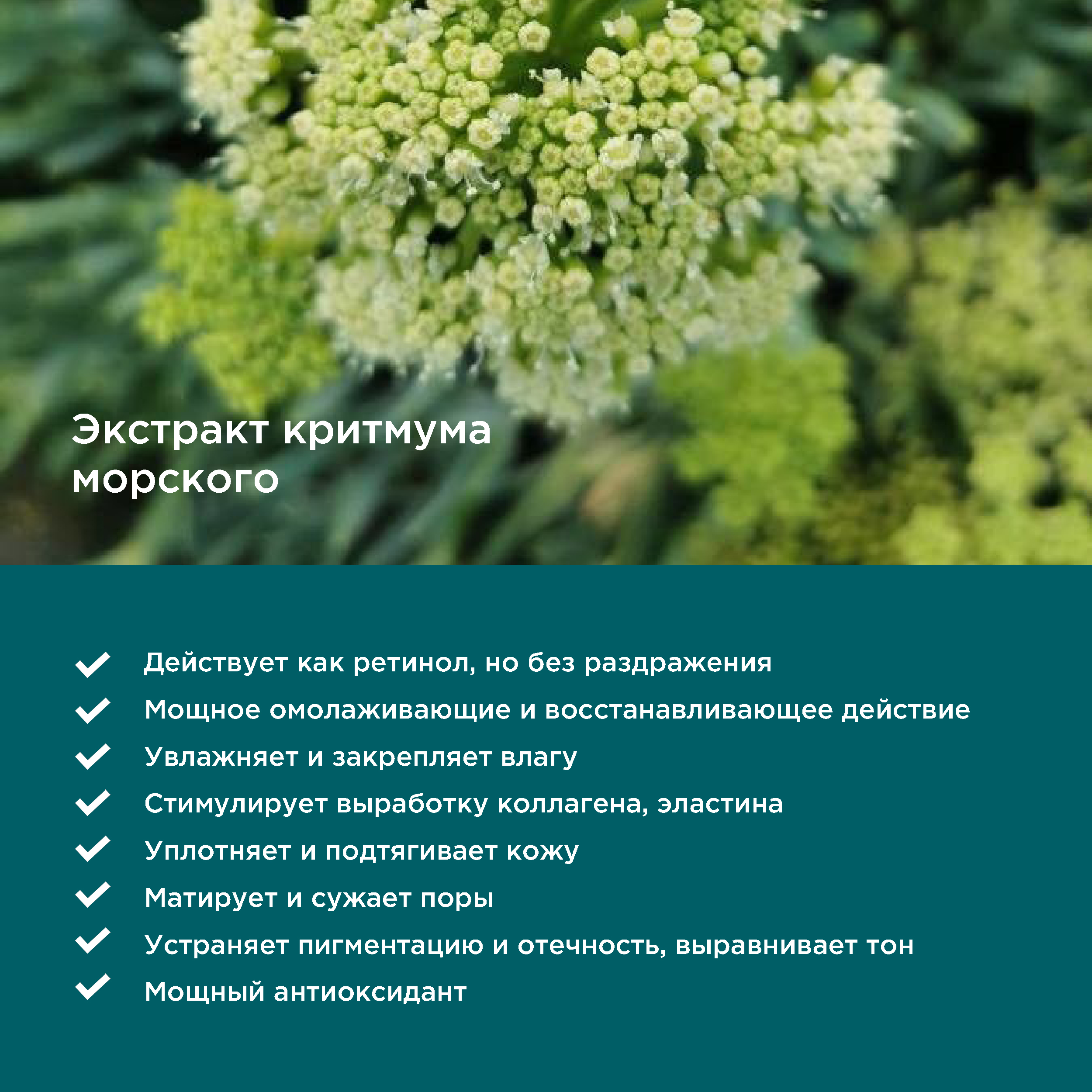 Сыворотка PERFECT4U Regenerating Concentrate 50 мл - фото 3