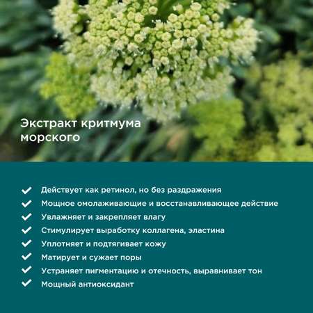 Сыворотка PERFECT4U Regenerating Concentrate 50 мл