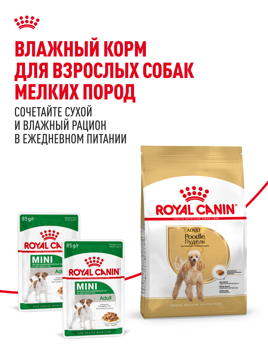 Корм для собак ROYAL CANIN Poodle Adult Пудель Эдалт сухой для взрослых собак породы пудель 1.5кг - фото 8
