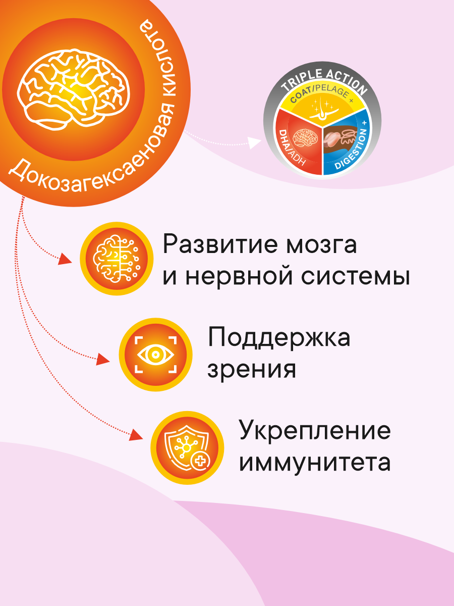 Корм сухой 1st Choice Здоровая кожа и шерсть для щенков мелких пород на ягненке с рыбой и рисом 350г - фото 2