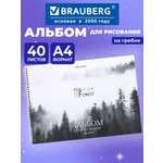 Альбом Brauberg А4
