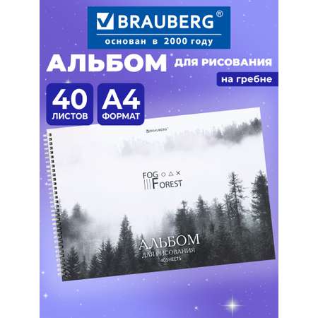 Альбом Brauberg А4