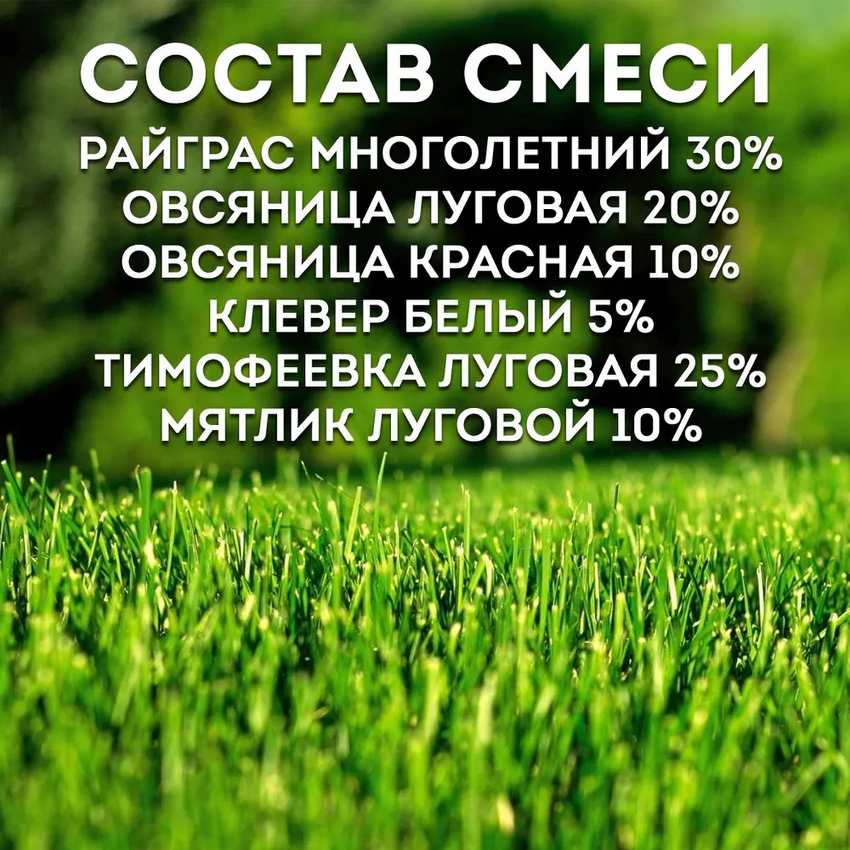 Семена газона Зеленый уголок травосмесь Детская игровая 0.5кг - фото 7