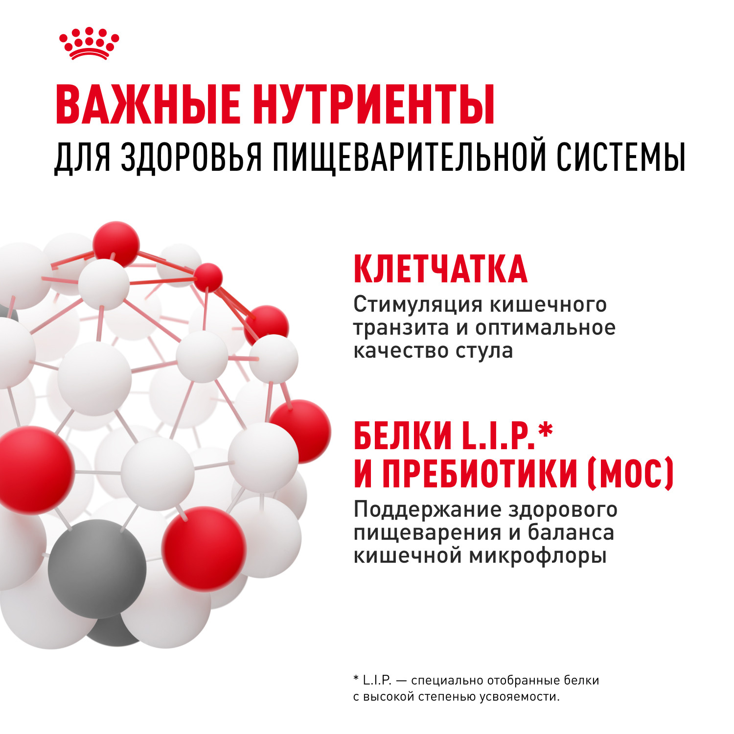 Корм для собак ROYAL CANIN Mini Digestive Care мелких пород с чувствительным пищеварением 3кг - фото 6