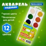 Краски акварель Brauberg 12 цв.