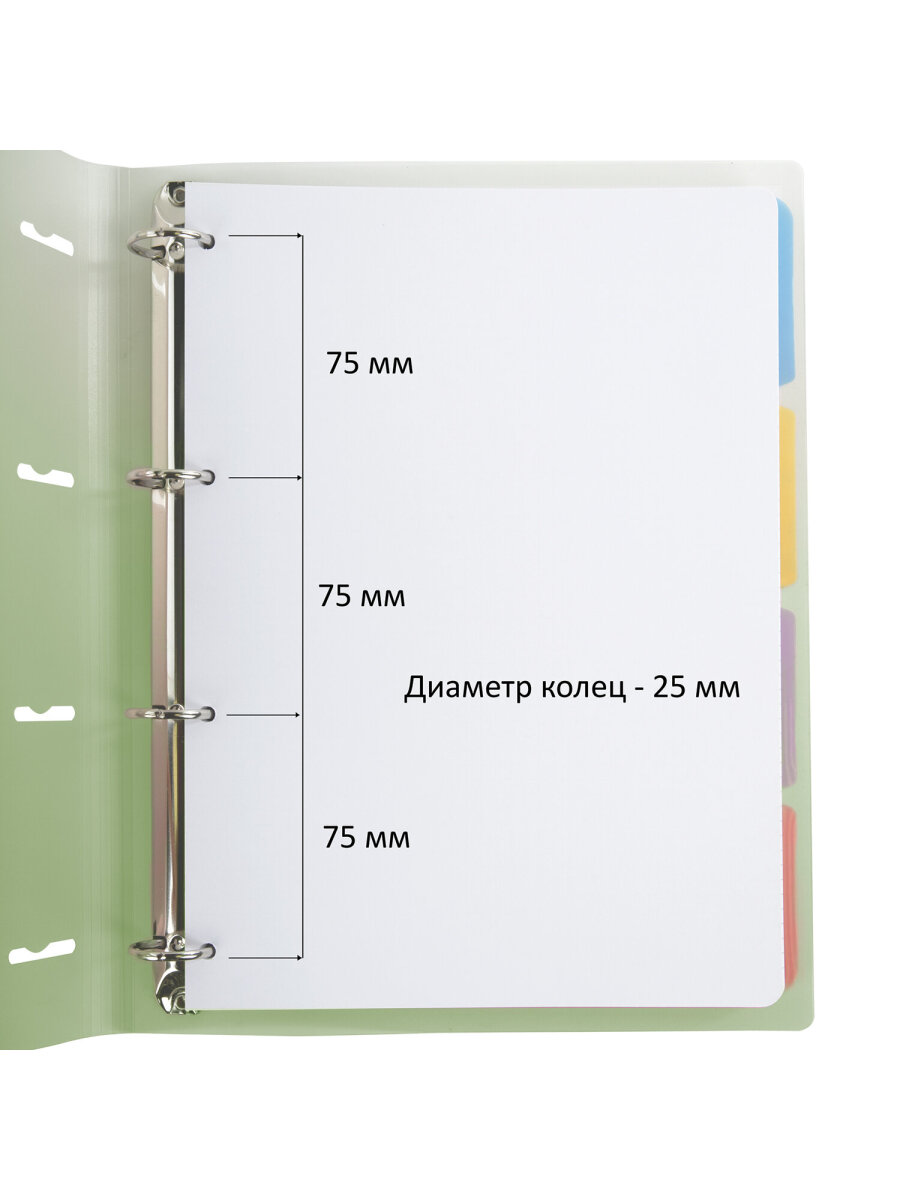 Тетрадь со сменным блоком Brauberg клетка 120 лист. - фото 7