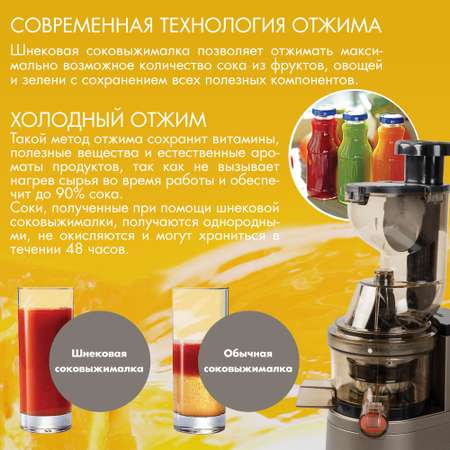 Шнековая соковыжималка ENDEVER Sigma 101