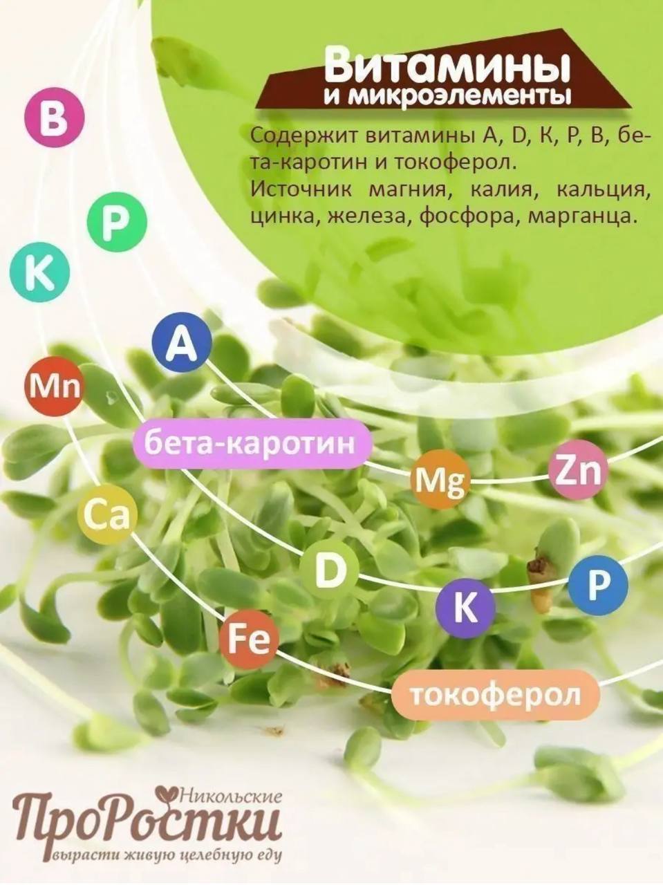 Семена для микрозелени MegaMedia рыжик - фото 5