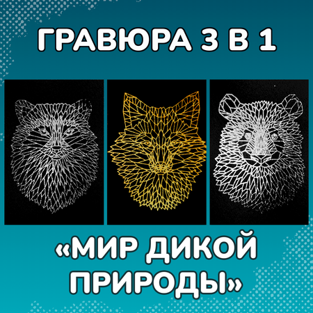 Гравюра LORI(колорит) Мир дикой природы