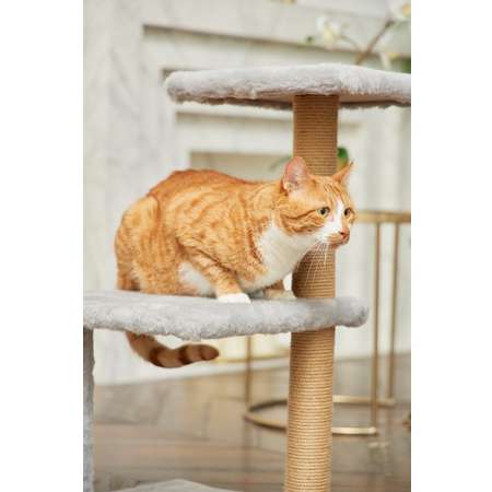 Когтеточка для кошек лежанка Pet БМФ Серый