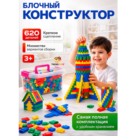 Конструктор TrendToys 3D в контейнере 620 дет.