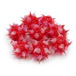 Набор для творчества Astra Craft бисер Бусины