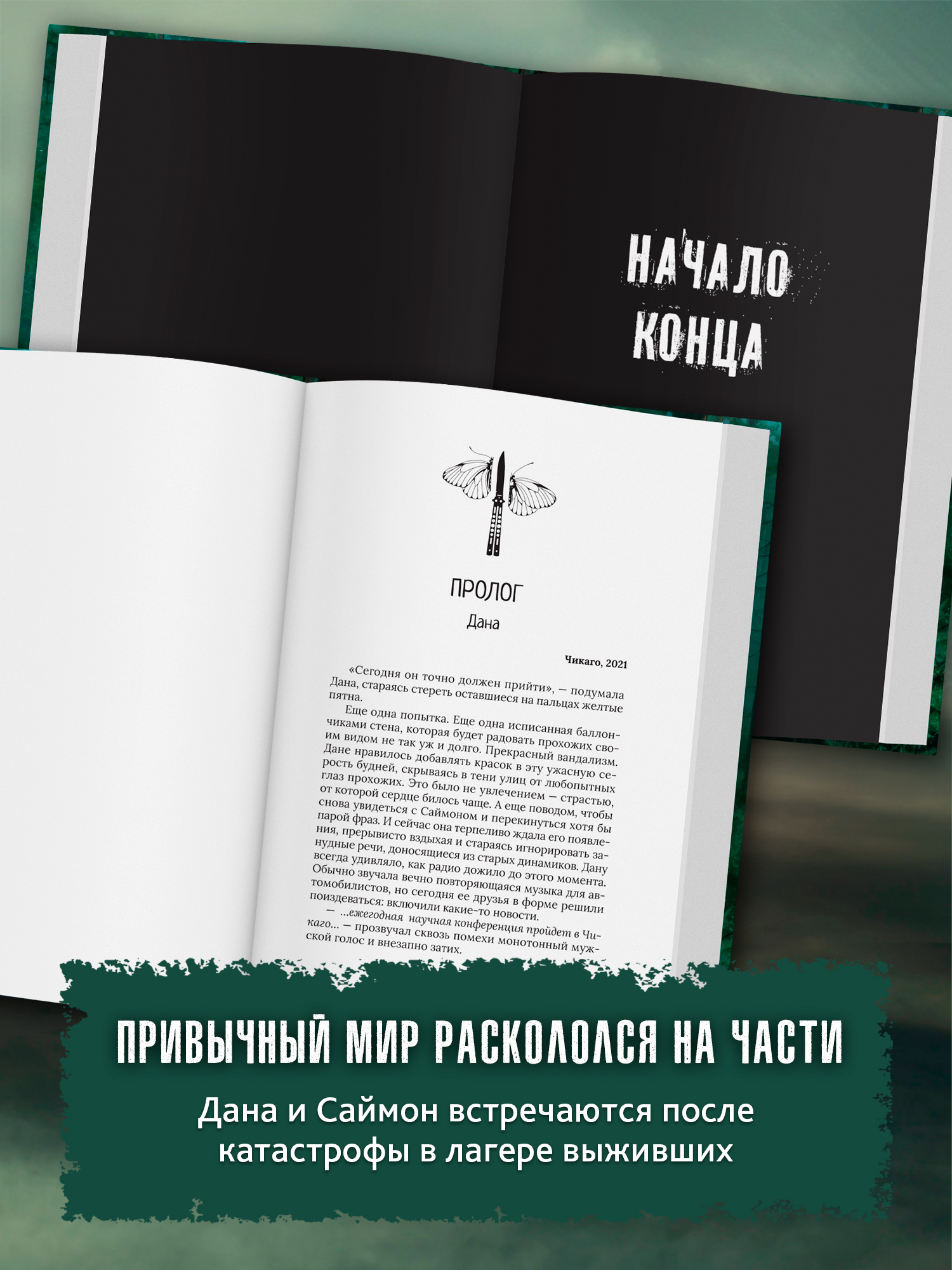 Искра надежды в эпоху отчаяния Феникс Книга - фото 3