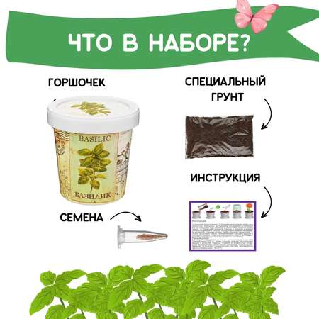 Набор для выращивания Rostok Visa