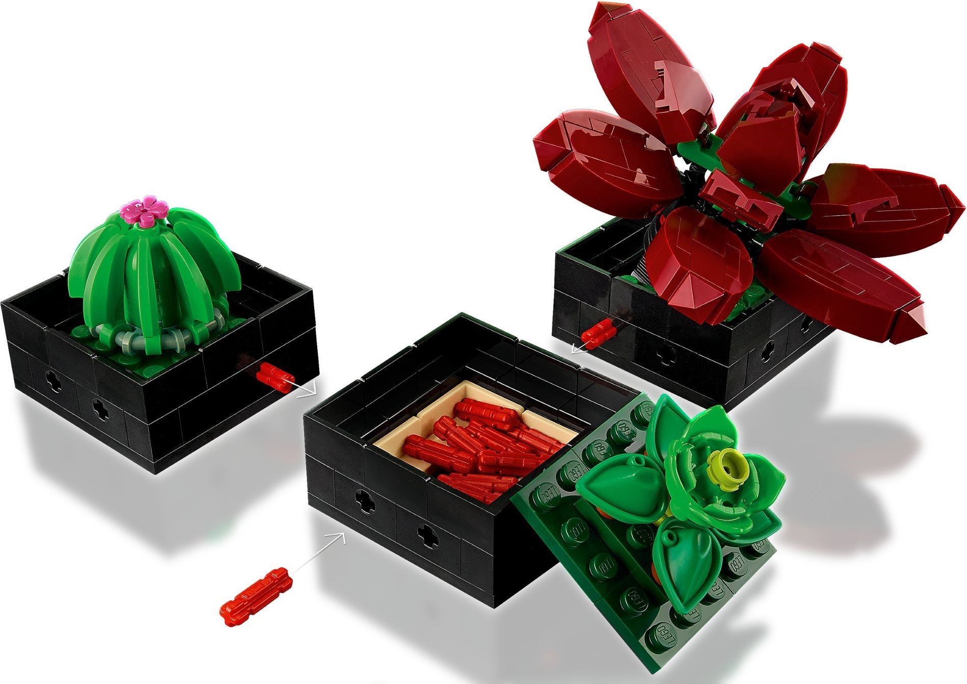 Конструктор LEGO Botanicals 10309 771 дет. - фото 5