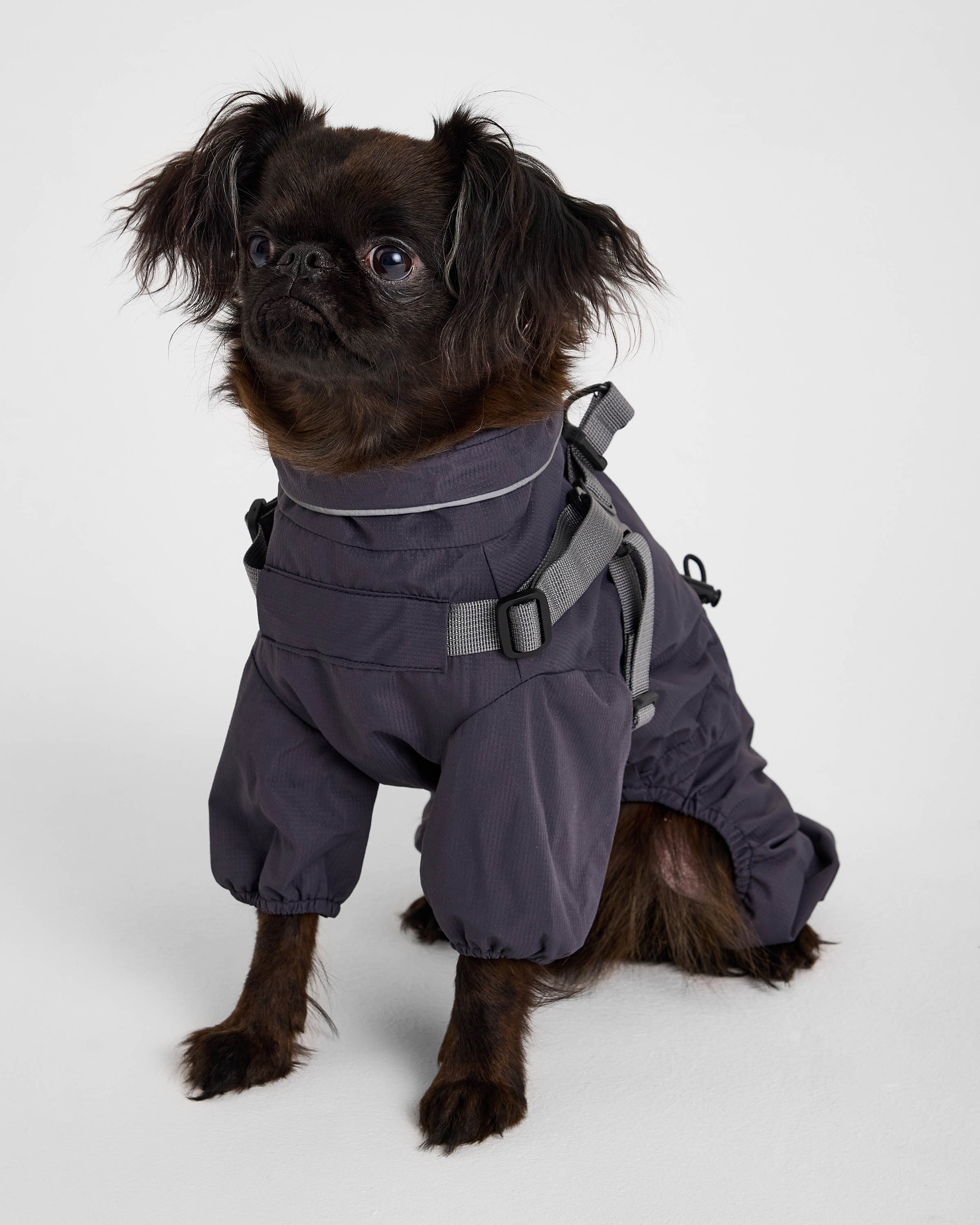 Изображение товара Зоозавр Комбинезон-дождевик для собак и кошек M