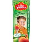 Сок Сады Придонья Яблоко-персик с 6 мес 0.2 л